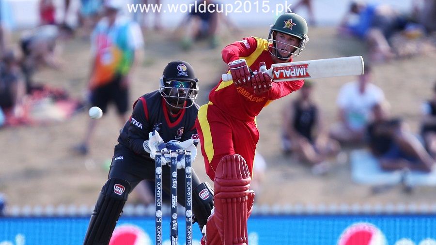 ZIM Vs UAE